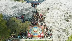 让搜救队吃上热乎饭！云南山体滑坡救援现场村民自发组织煮饭
